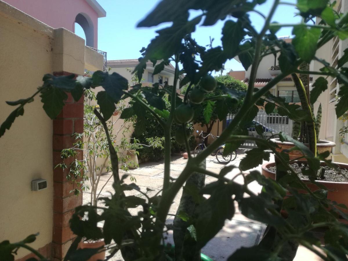 مبيت وإفطار Selargius Casa Madda المظهر الخارجي الصورة